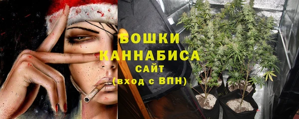 МДПВ Билибино